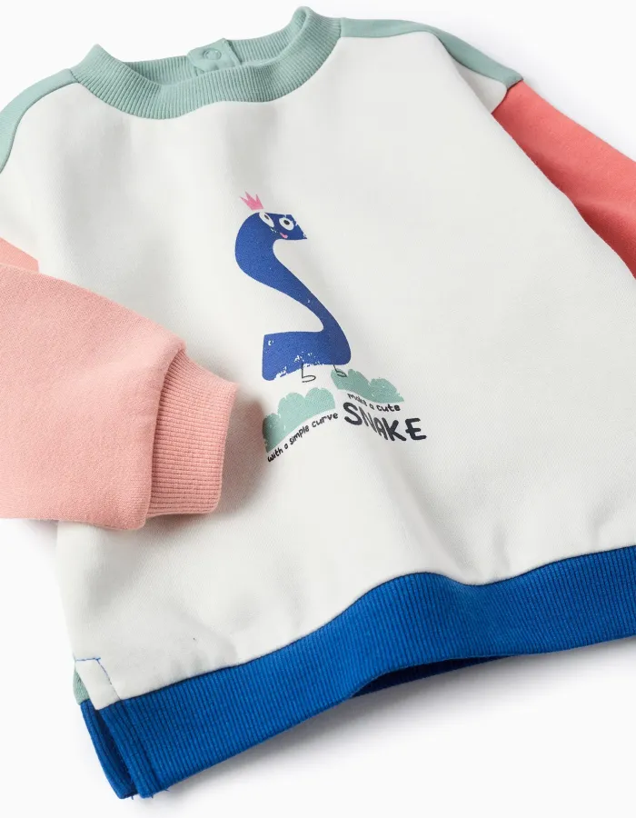 Brushed Sweatshirt with Colour Block for Babies 'Snake', Multicolour