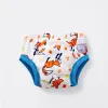 Bambino Mio Potty Training Pants 2-3