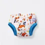 Bambino Mio Potty Training Pants 2-3