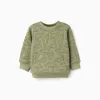 Cotton sweatshirt with chameleon motif for baby boys, dark green