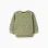 Cotton sweatshirt with chameleon motif for baby boys, dark green