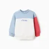 Cotton sweatshirt with colour block and print for baby boys, multicolour