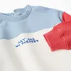 Cotton sweatshirt with colour block and print for baby boys, multicolour