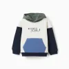 Brushed hooded sweatshirt with print for baby boys, white/blue/green
