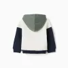 Brushed hooded sweatshirt with print for baby boys, white/blue/green