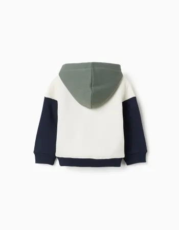 Brushed hooded sweatshirt with print for baby boys, white/blue/green