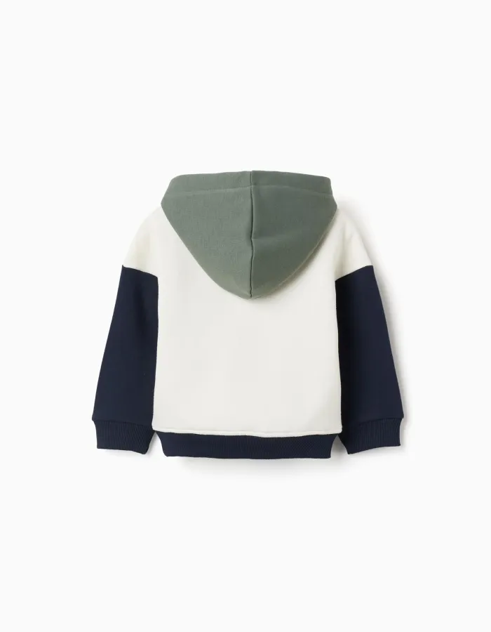 Brushed hooded sweatshirt with print for baby boys, white/blue/green