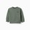 Cotton sweatshirt with ZY print for baby boys, dark green