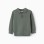 Cotton knitted jumper with polo collar B&S for baby boys, dark green