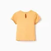 SS TSHIRT RIB, DARK YELLOW