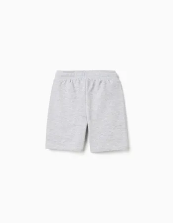 Fleece shorts with drawstring and pockets for boys, light grey