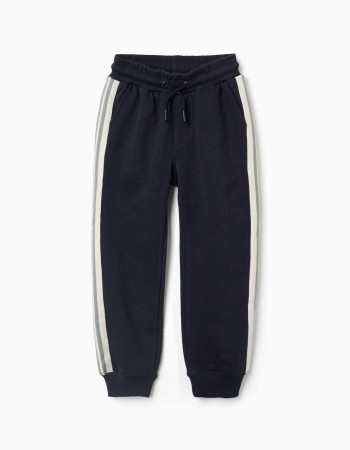 Cotton joggers with striped tape for boys, navy blue/beige/green