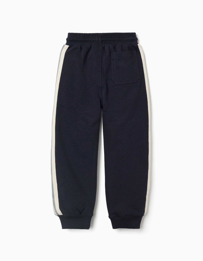 Cotton joggers with striped tape for boys, navy blue/beige/green