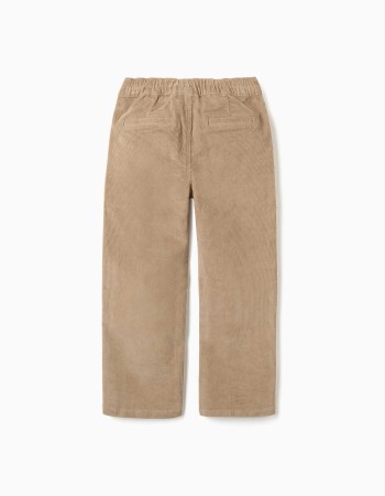 Straight fit corduroy chino trousers for boys, dark beige