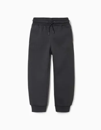 Slim fit brushed joggers with print for boys, dark grey