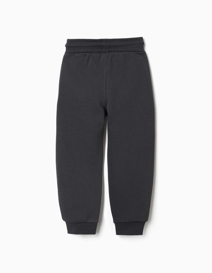 Slim fit brushed joggers with print for boys, dark grey