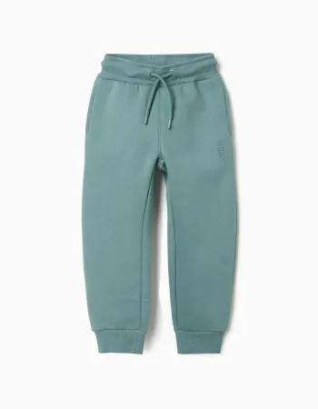 Slim fit brushed joggers with print for boys, blue-green