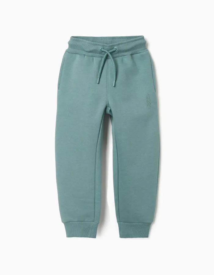 Slim fit brushed joggers with print for boys, blue-green