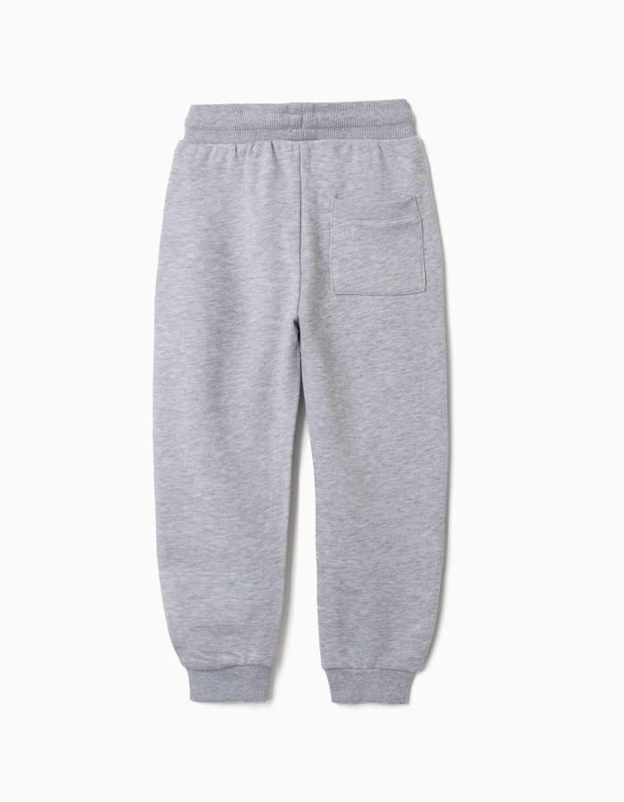 Fleece joggers with drawstring and pockets for boys, light grey
