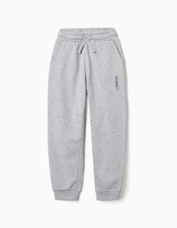 Slim fleece joggers with pockets and ZY print for boys, light grey