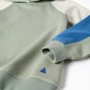 Hooded cotton sweatshirt for boys, green/beige/blue