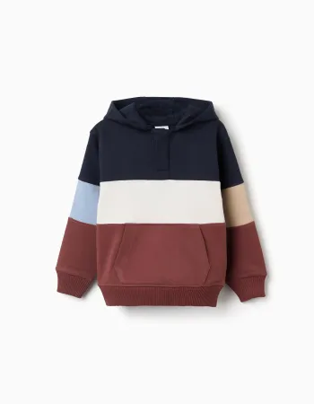 Hooded fleece sweatshirt with colour block for boys, multicolour