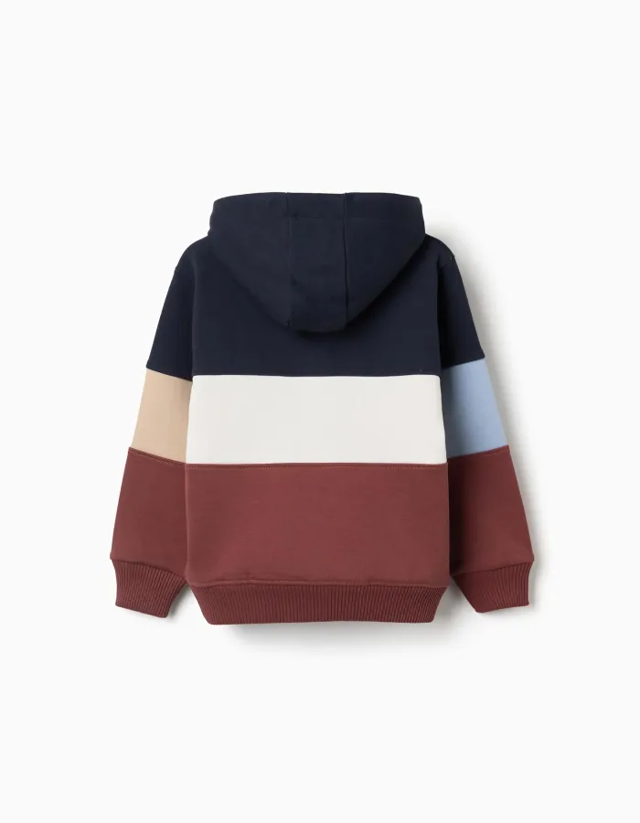 Hooded fleece sweatshirt with colour block for boys, multicolour