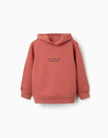 Brushed hooded sweatshirt with print for boys, terracotta