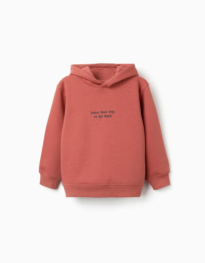 Brushed hooded sweatshirt with print for boys, terracotta