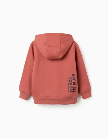 Brushed hooded sweatshirt with print for boys, terracotta