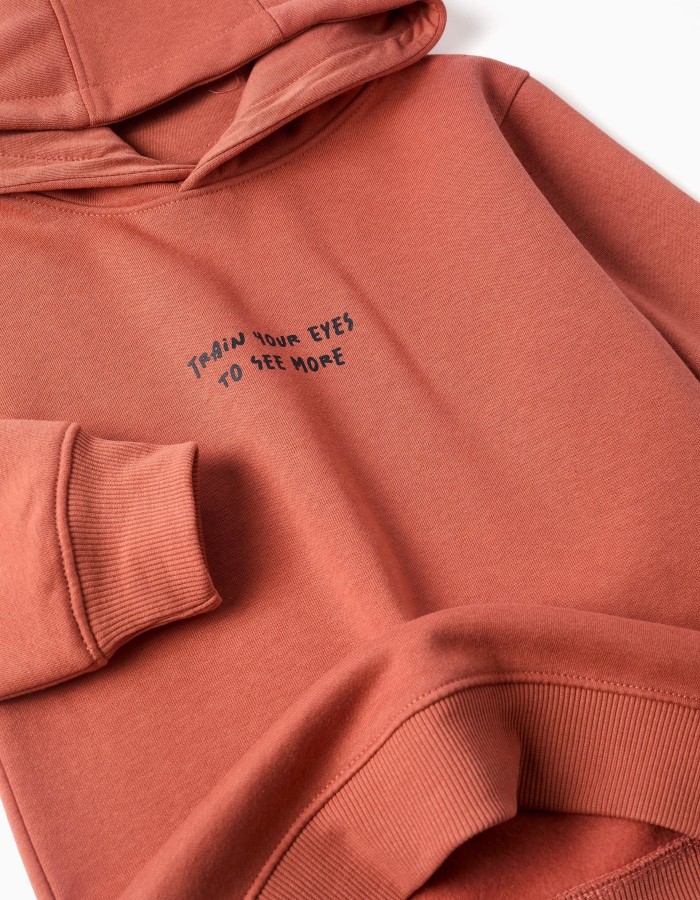 Brushed hooded sweatshirt with print for boys, terracotta