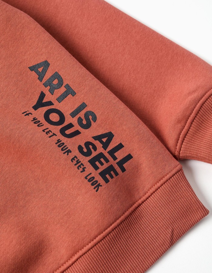 Brushed hooded sweatshirt with print for boys, terracotta