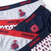 Pack of 5 Briefs for Boys 'Spiderman', Blue/White/Grey