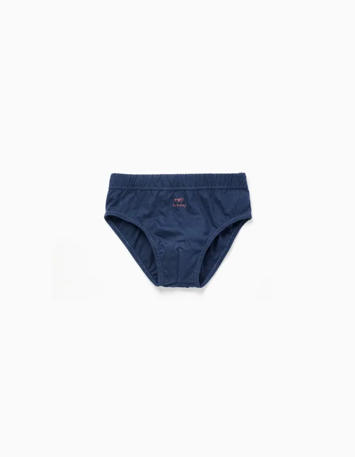 Pack of 7 Cotton Briefs 'Days of the Week' for Boys, Blue/Grey