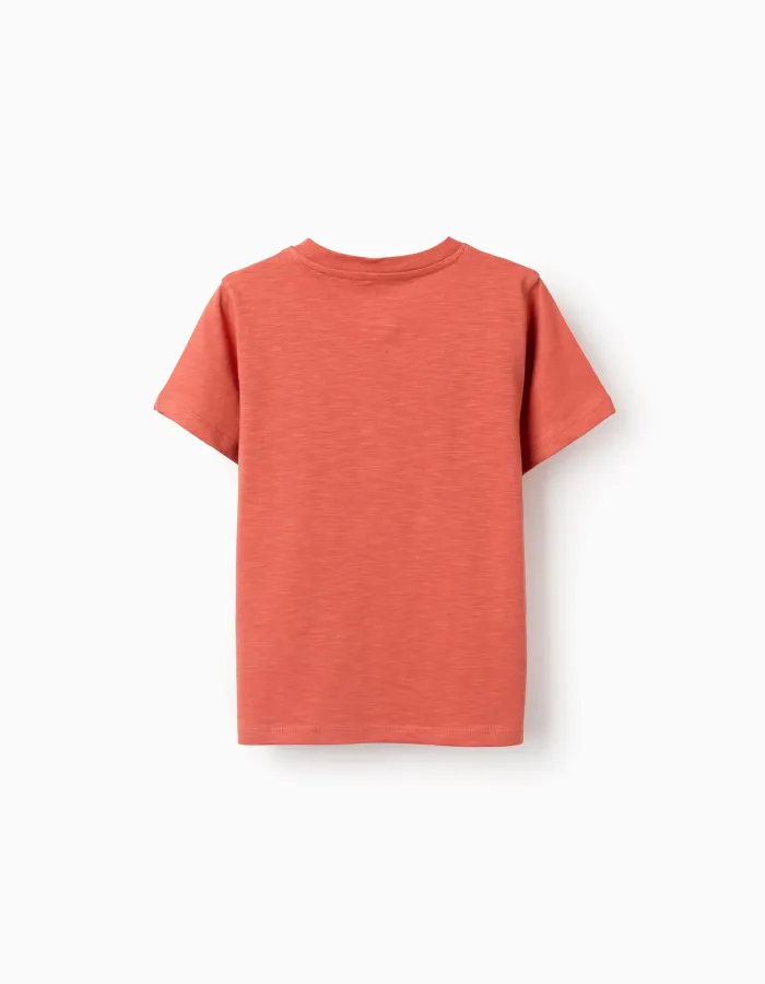 Cotton T-shirt with Work of Art print for boys, orange