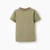 Cotton T-shirt with Cactus Garden embroidery for boys, dark green