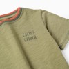 Cotton T-shirt with Cactus Garden embroidery for boys, dark green