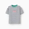 Striped cotton T-shirt with print for boys, white/blue/green