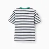 Striped cotton T-shirt with print for boys, white/blue/green
