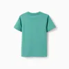 Cotton T-shirt with Just Colors print for boys, green