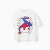 Cotton T-shirt with Spider-Man front print for boys, white