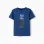 Cotton T-shirt with Sculpture front print for boys, blue