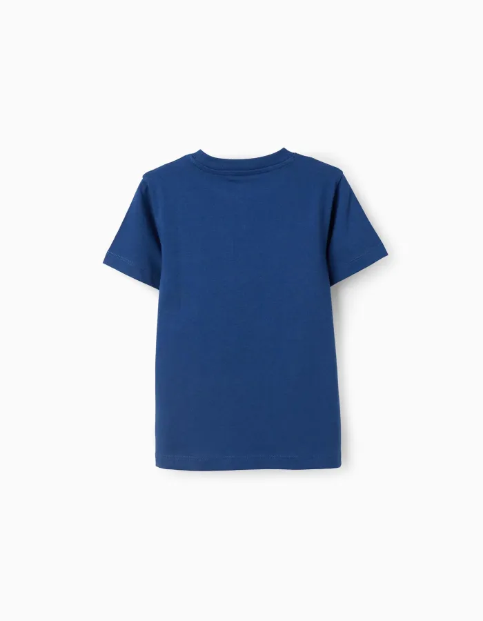 Cotton T-shirt with Sculpture front print for boys, blue