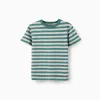 Striped cotton T-shirt for boys, green/orange/blue/white