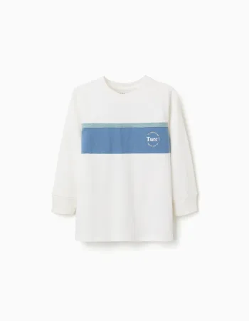 Long sleeve cotton T-shirt with print for boys, white/blue/green