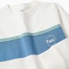 Long sleeve cotton T-shirt with print for boys, white/blue/green