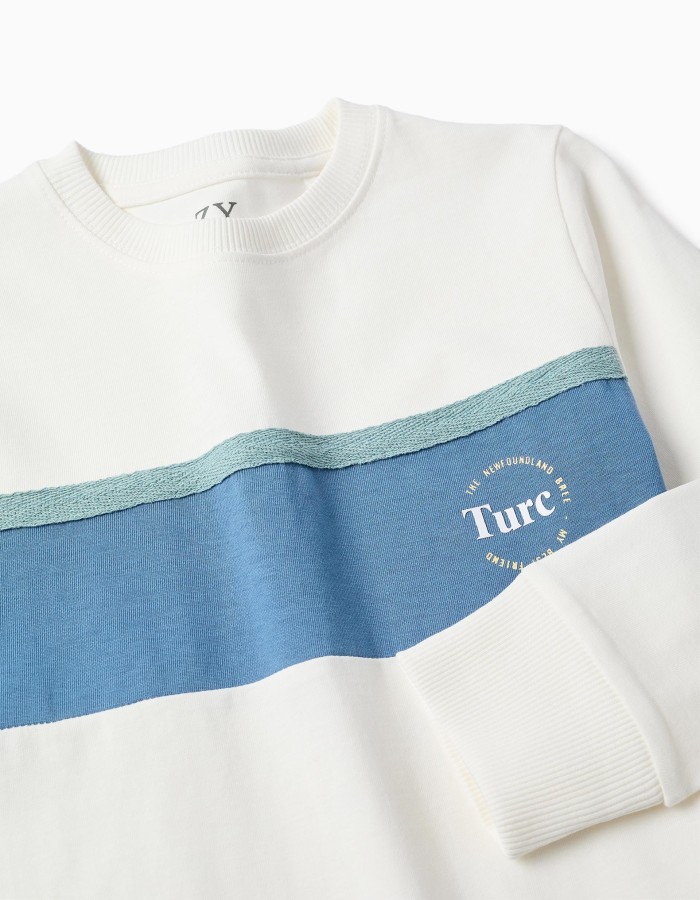 Long sleeve cotton T-shirt with print for boys, white/blue/green