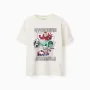 Cotton T-shirt with Avengers front print for boys, white