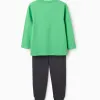 Long sleeve cotton pyjamas with Minecraft print for boys, green/grey