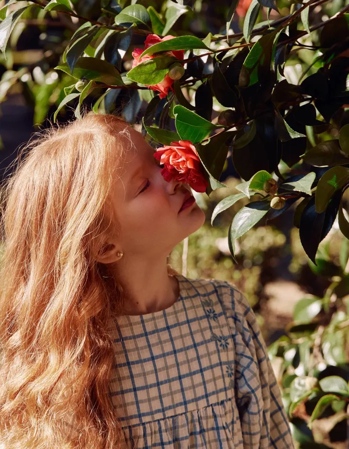 Cotton checked dress with puffy sleeves for girls, multicolour